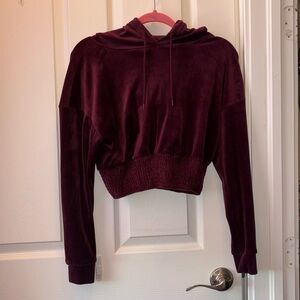 Plum Velvet Cropped Hoodie